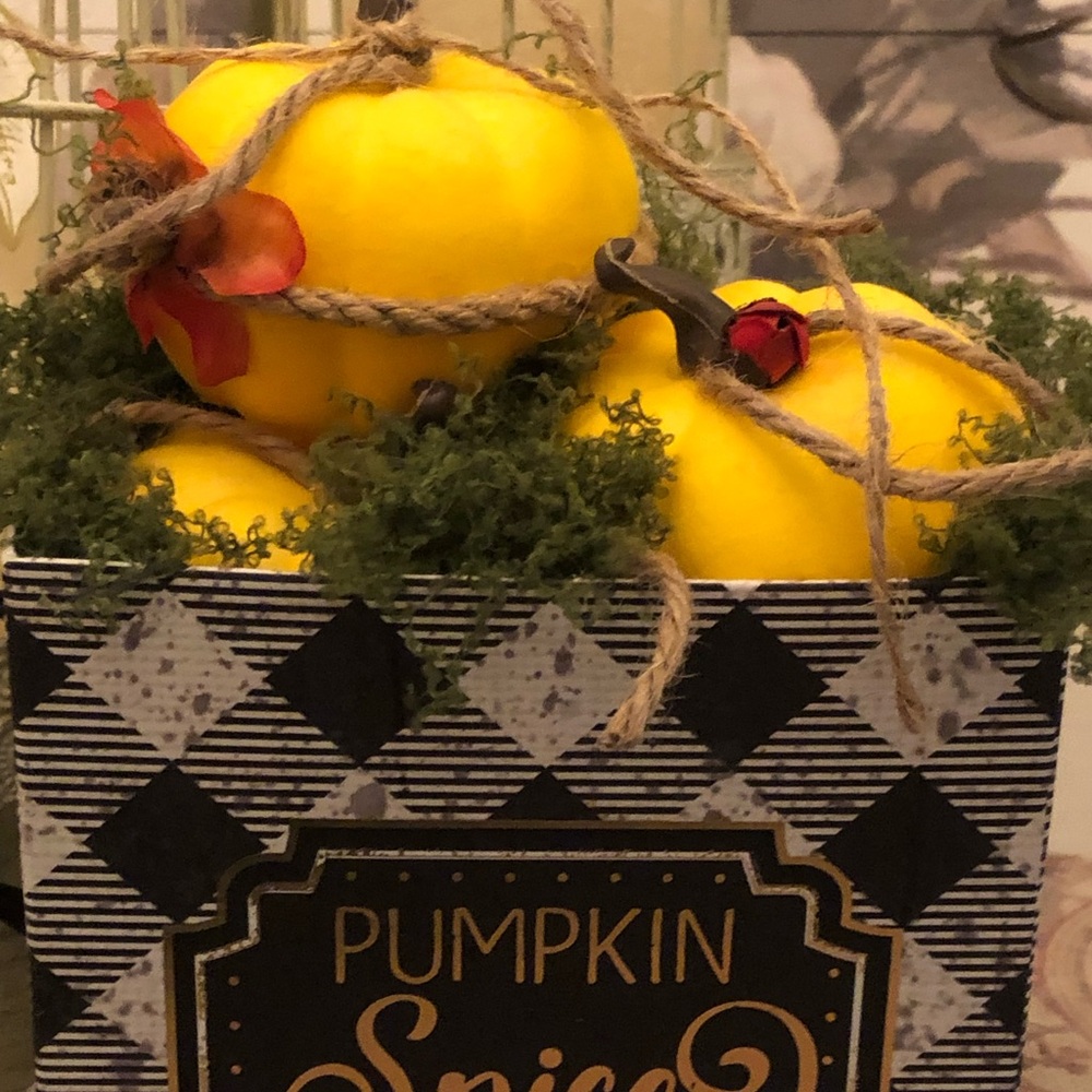 Pumpkin Spice Fall Fun - Picture 4 of 5